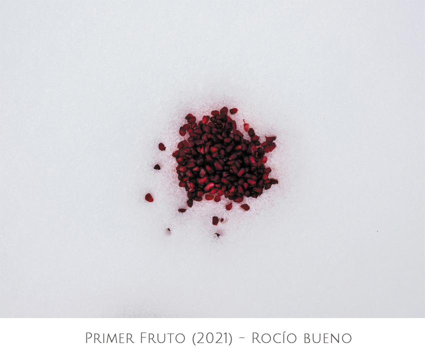 Rocio Bueno - Artista Visual. 8 x 8 (infinito x infinito)- Proyecto curatorial de Andrea Perissinotto y YANMAG