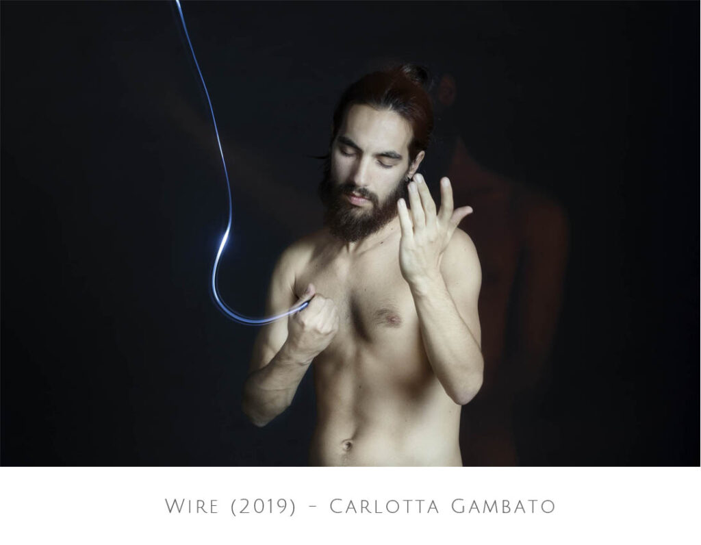 Wire-2010-Carlotta-Gambato-Galeria-LaEclectica-Fracasos Compartidos