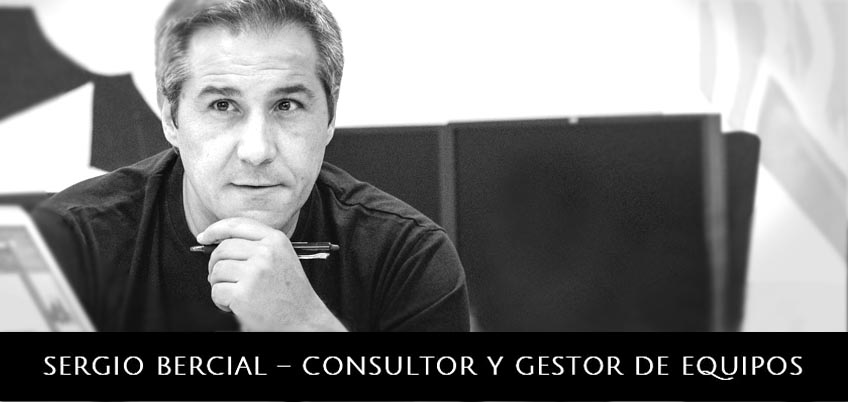 Sergio Bercial - Consultor y Gestor de Equipos