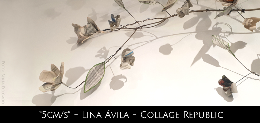 Lina Avila - Collage Republic - 5 cms - Exposicion Individual