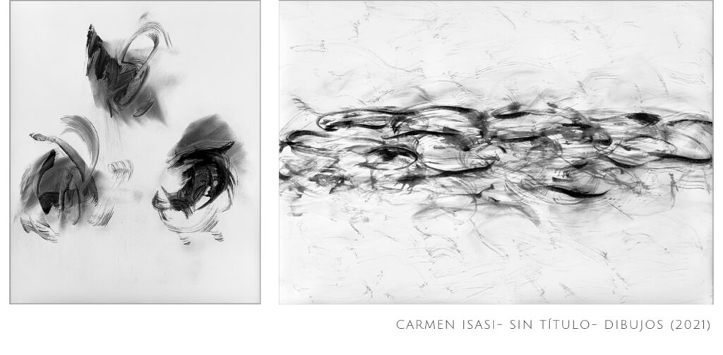 Carmen Isasi, artista plastica. Proyecto 8x8 (InfinitoxInfinito) de Andrea Perissinotto.